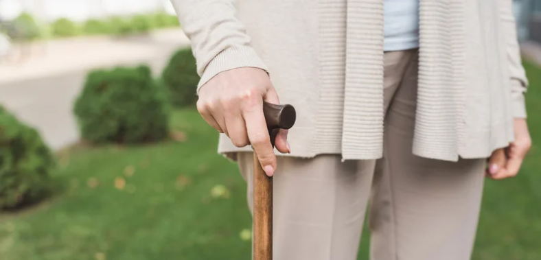 A guide to the different types of walking sticks