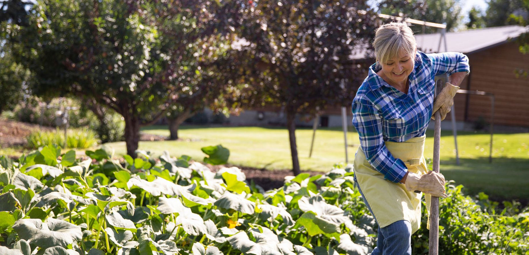 How to make gardening easier for the elderly