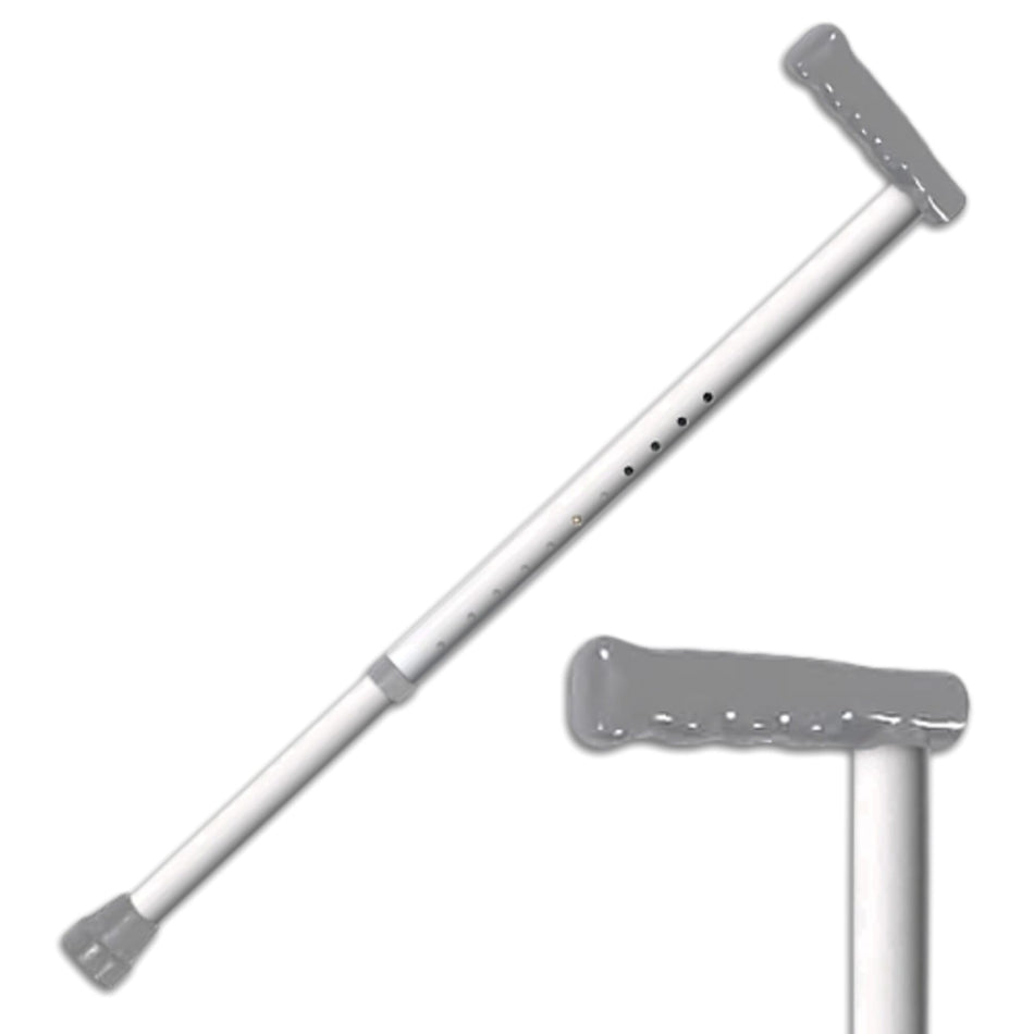 White Walking Stick