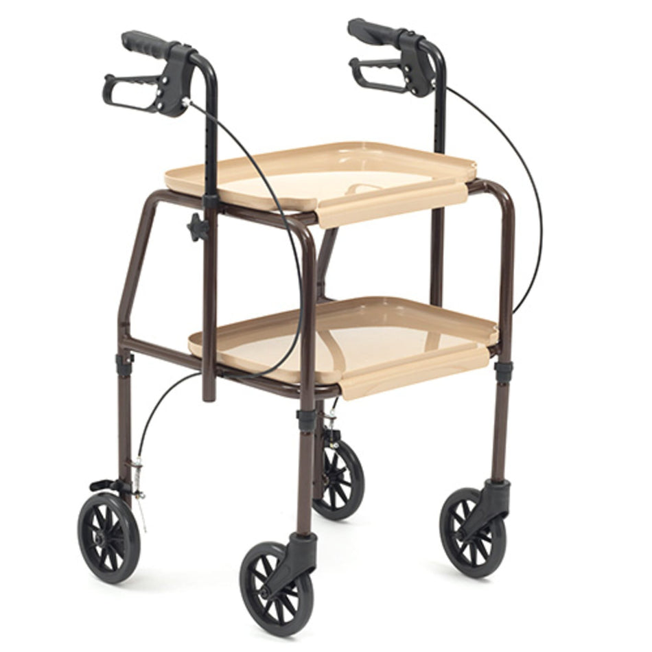 Combination Wheeled Trolley Walker