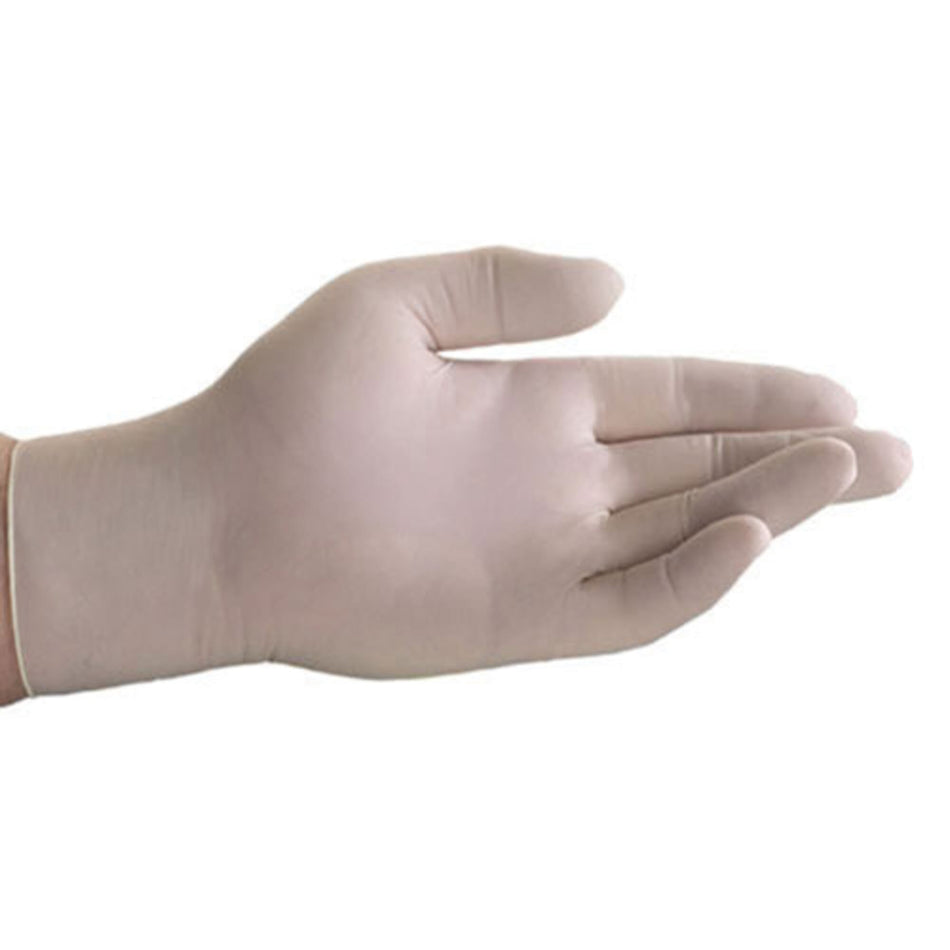 Powder Free Vinyl Gloves - Case of 10 Boxes