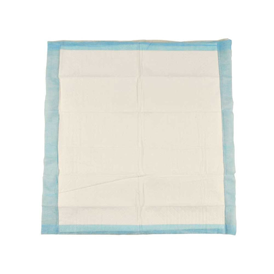 Image of Abri-Cell Disposable Bed Pads on a plain background.
