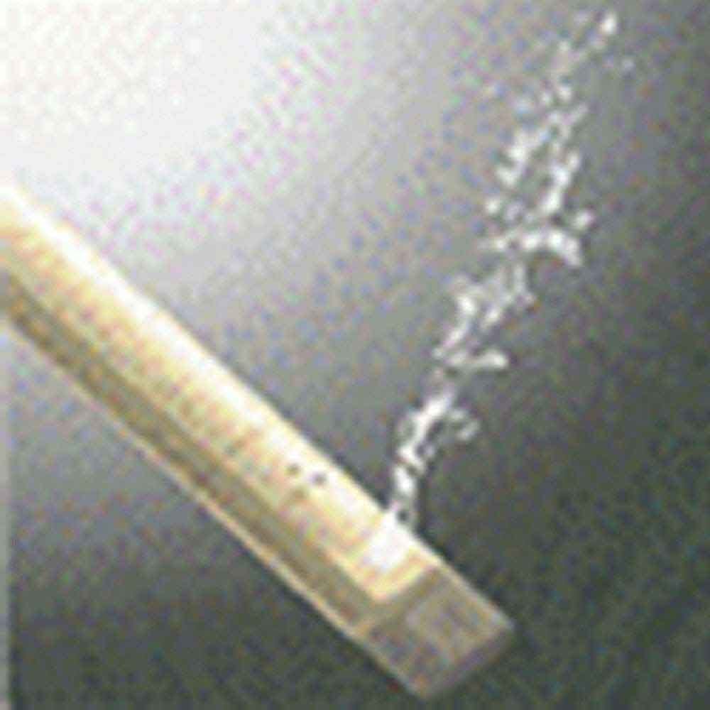 Alternative view of Bio Bidet Supreme, showing different angle or usage.