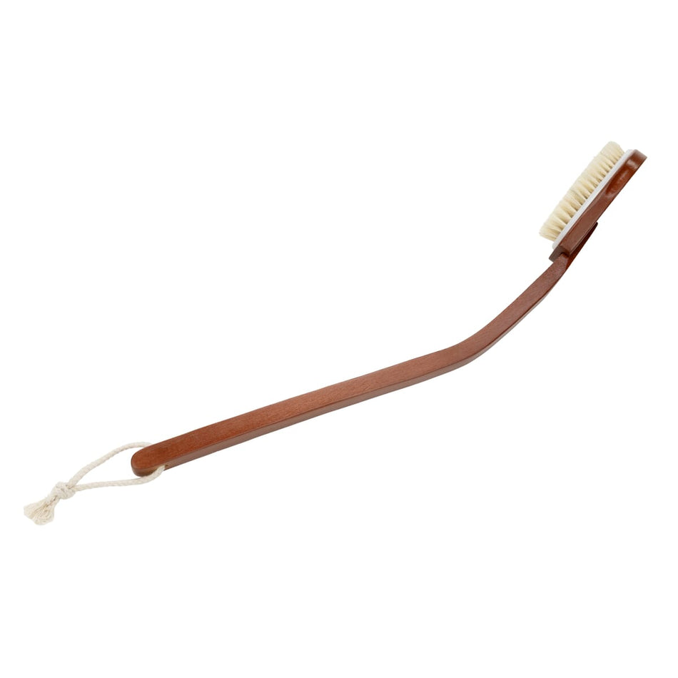 CareWorth Long Handled Brush