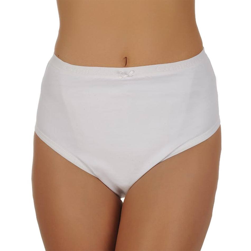 Image of Caretex Tulip Ladies Incontinence Briefs on a plain background.