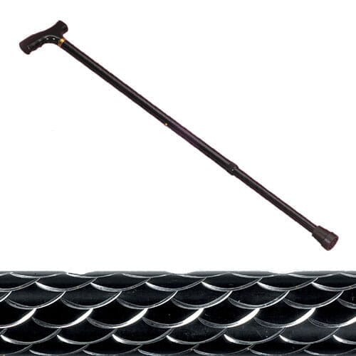 Full view of Etched Black Walking Stick walking stick on a plain background, showing its handle, shaft and ferrule.