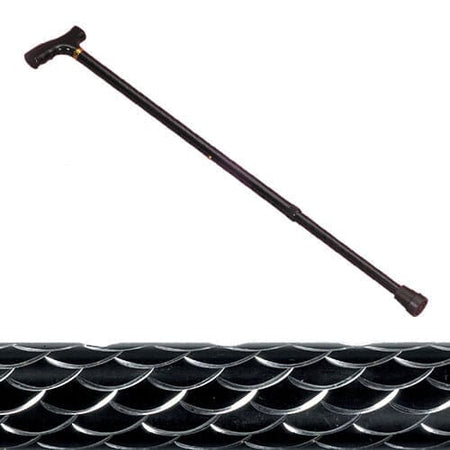 Full view of Etched Black Walking Stick walking stick on a plain background, showing its handle, shaft and ferrule.