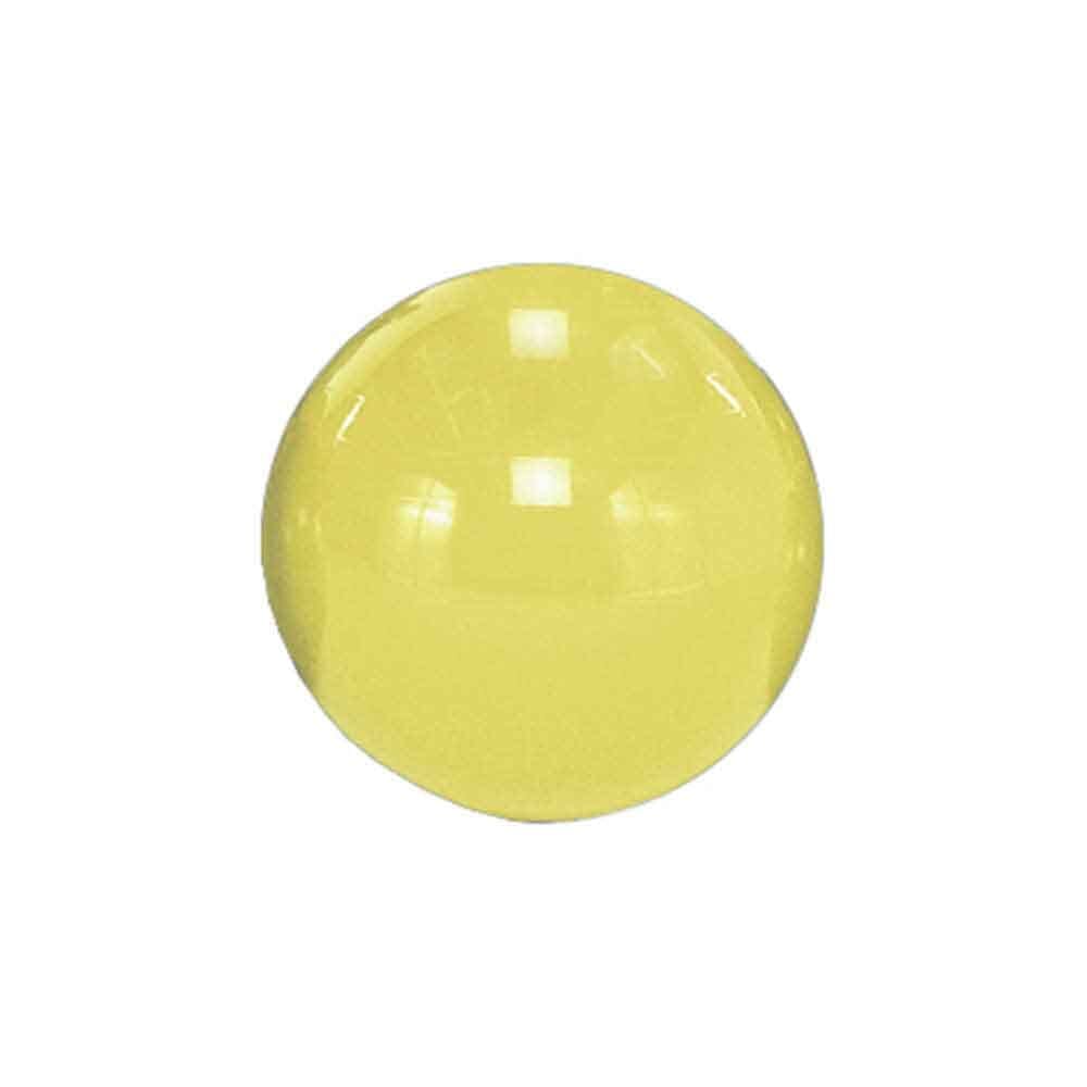 Image of Gymnic Classic Exercise Gym Ball on a plain background.
