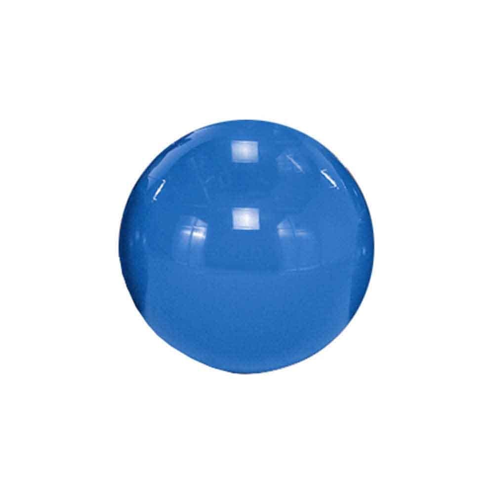 Image of Gymnic Classic Exercise Gym Ball on a plain background.
