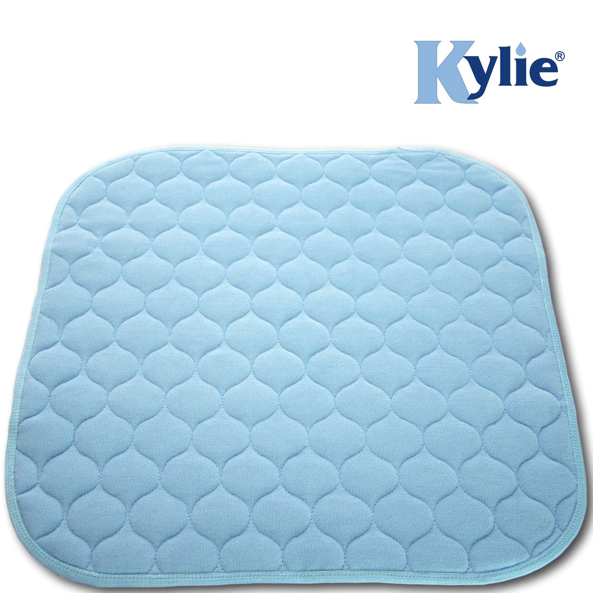 Image of Kylie Chair Pad on a plain background.