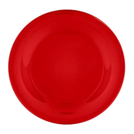 Image of Melamine Plate on a plain background.