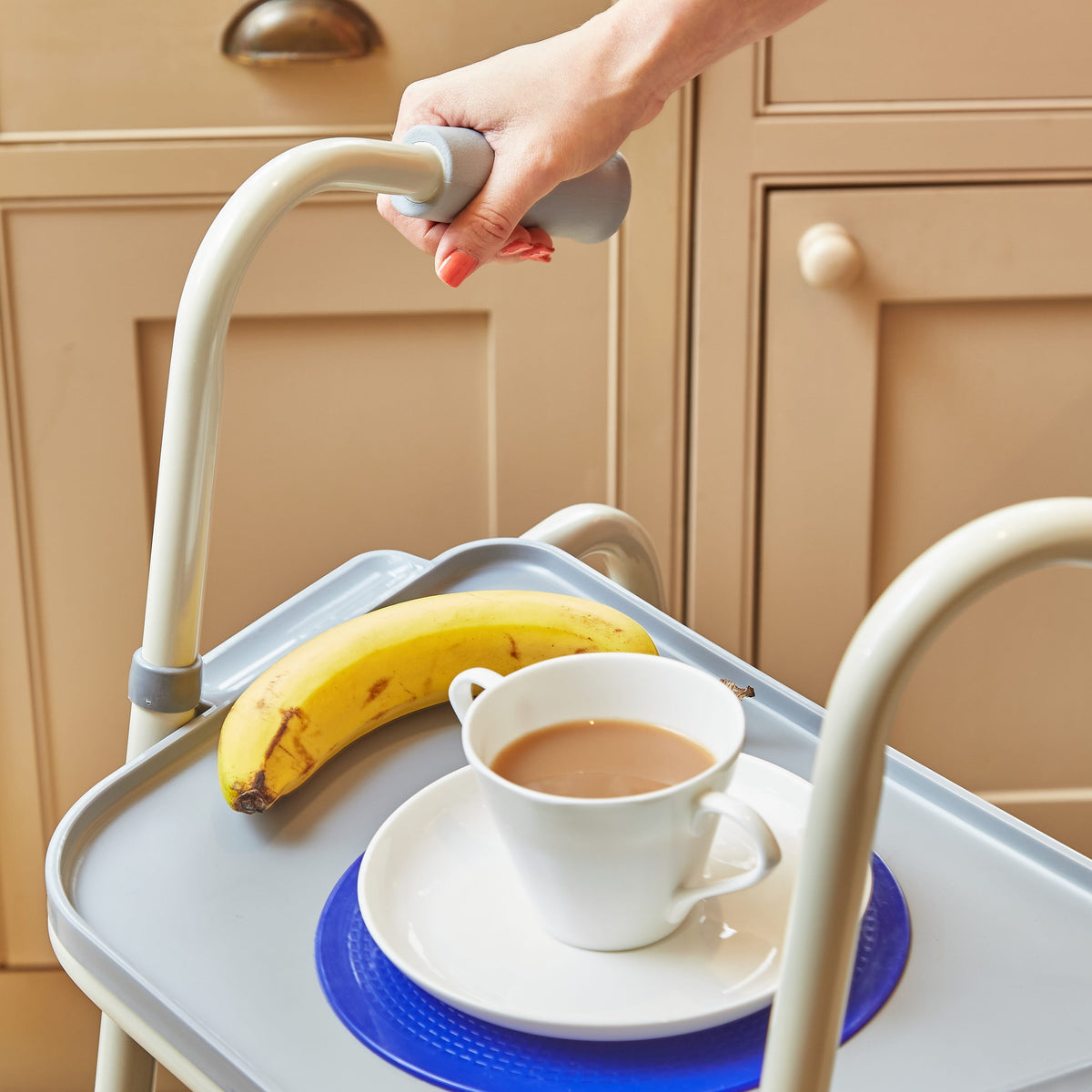 Alternative view of NRS Duo Walking Trolley, showing different angle or usage.