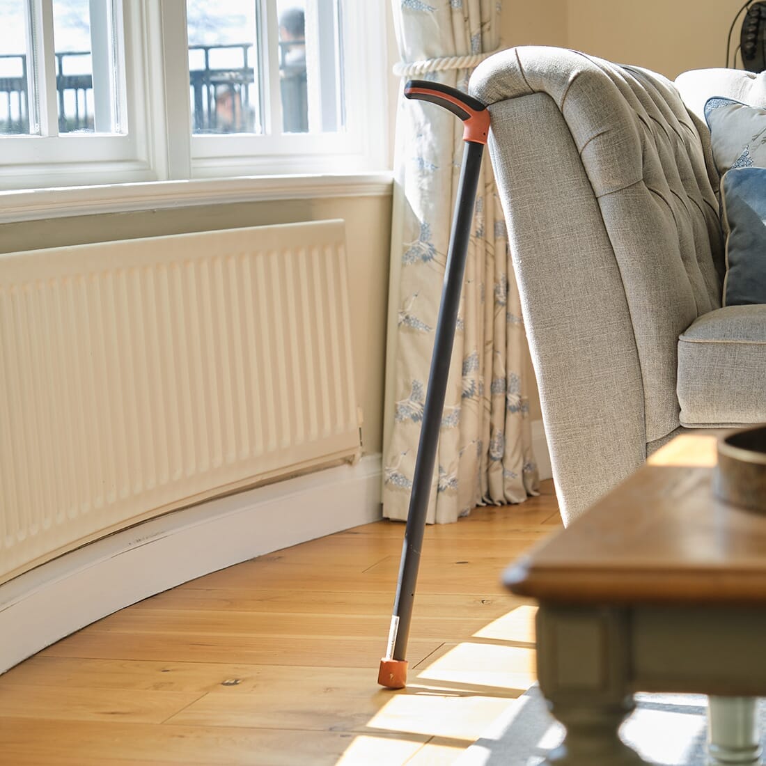Full view of NRS Freestyle Walking Stick walking stick on a plain background, showing its handle, shaft and ferrule.