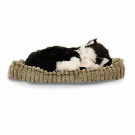 Image of Precious Petzzz Cat on a plain background.