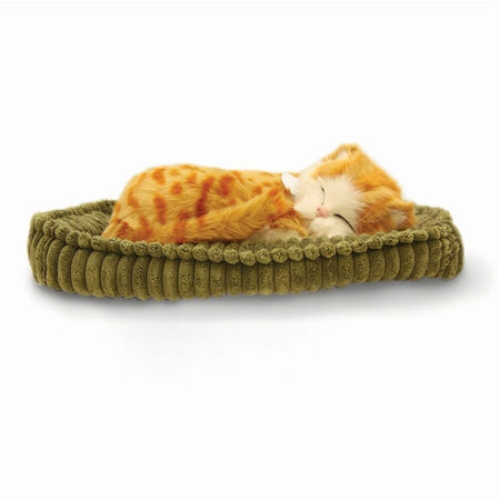 Image of Precious Petzzz Cat on a plain background.