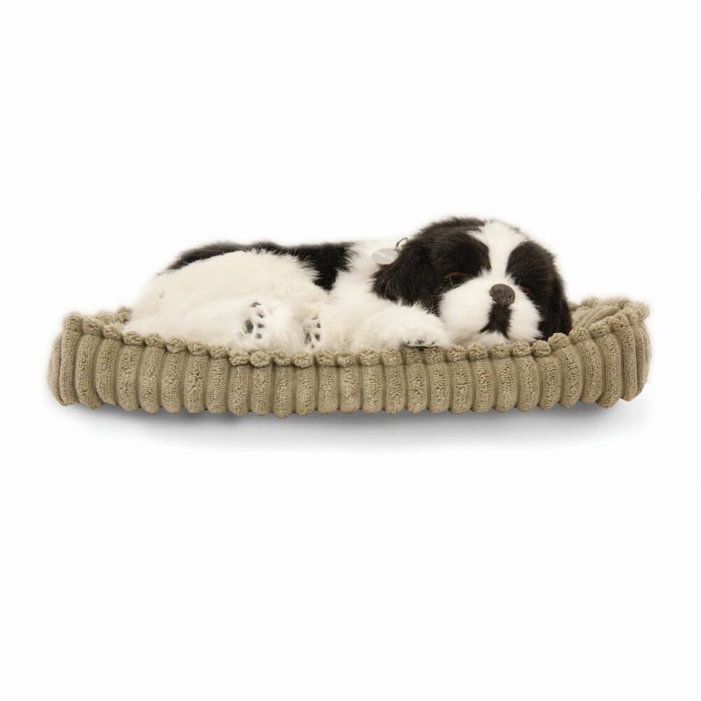 Image of Precious Petzzz Dog on a plain background.