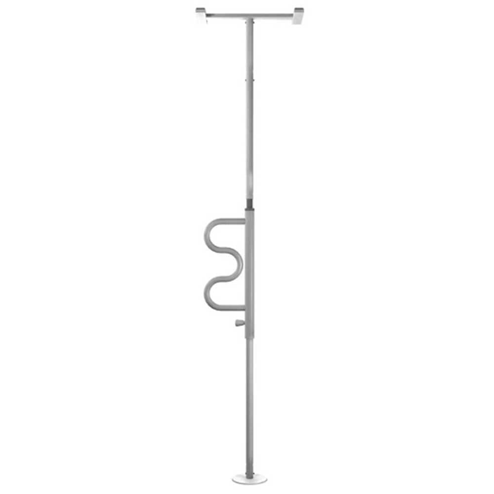 Image of Security Pole With Grab Bar on a plain background.