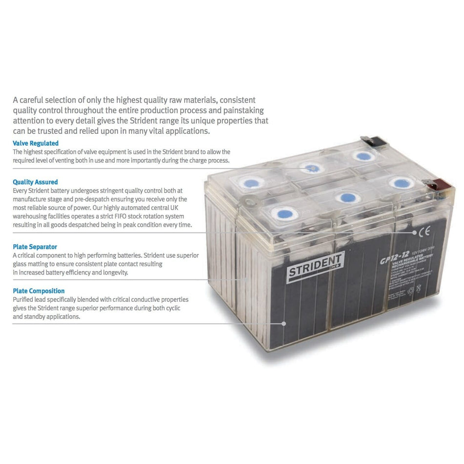 Strident AGM Battery 12V 100AH