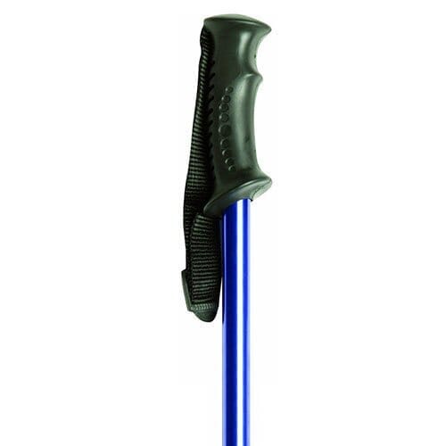 Image of Traditional Hiking Handle Nordic Walking Pole on a plain background.