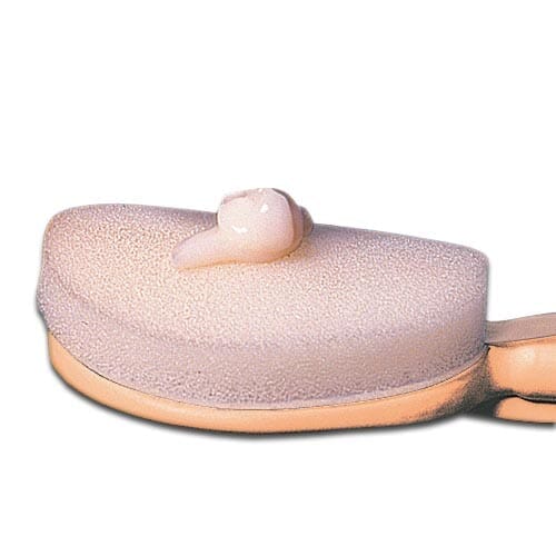 Image of Two Replacement Sponges for Long Handled Lotion Applicator on a plain background.