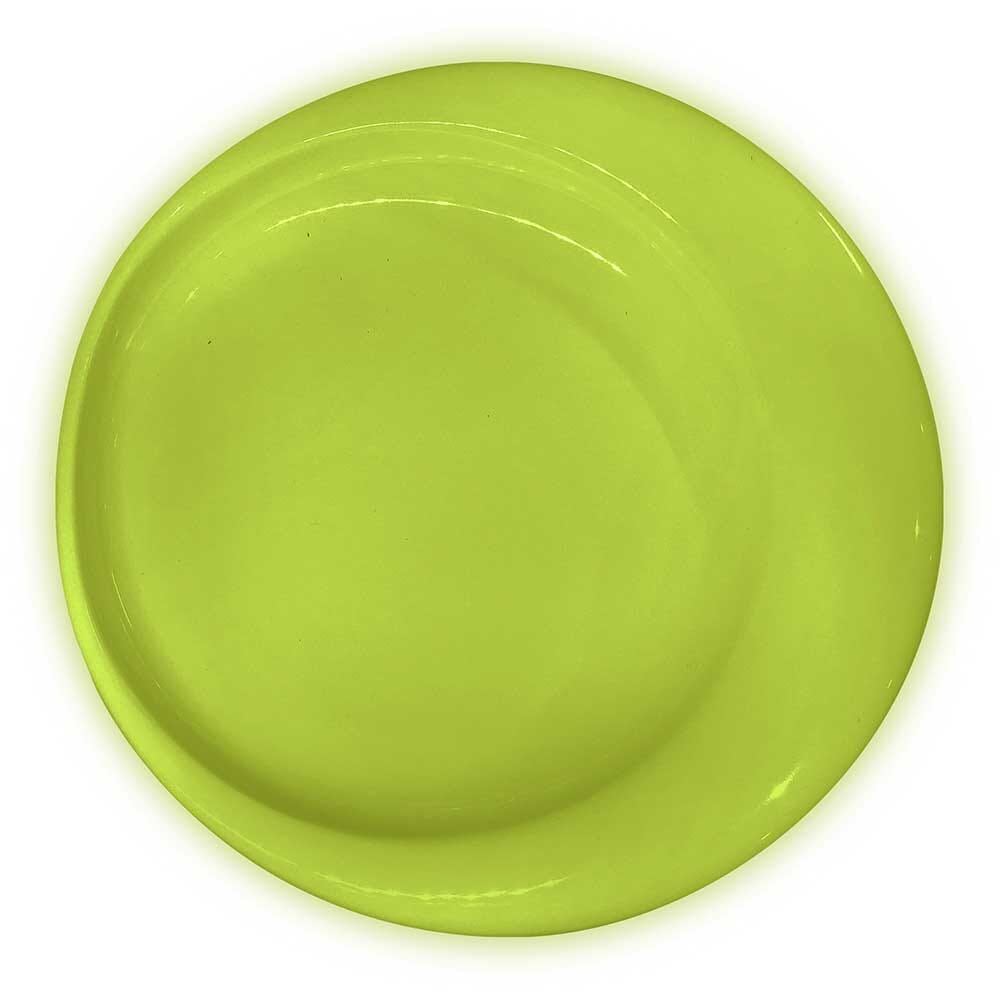 Lifestyle image of Wade Dignity Large Plate being used in a real-life setting.