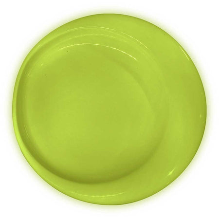 Lifestyle image of Wade Dignity Large Plate being used in a real-life setting.